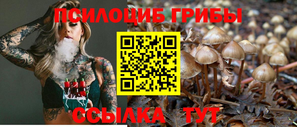 Псилоцибиновые грибы MAGIC MUSHROOMS Ноябрьск